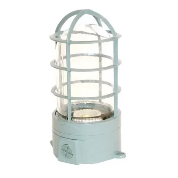 QE 10 INCH COLD STORAGE CAGE LAMP VAPOR PROOF GLASS 100 WATTS MAX